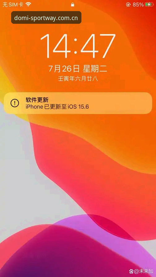 多米体育版本更新后，怎样用多米体育官网正版入口最快完成升级？